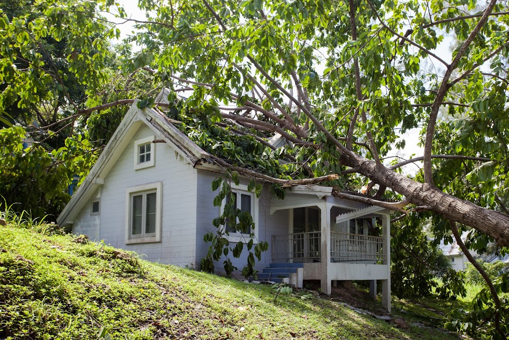 Accelerated Mitigation of Beaufort County